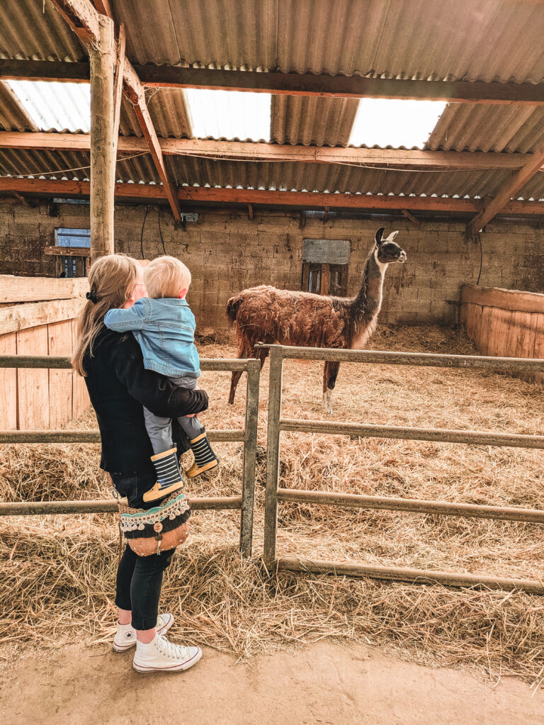 Les 1000 pieds ferme, une ferme pédagogique dans le Finistère