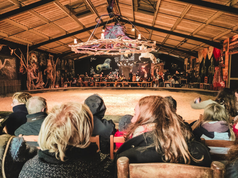 Camarkas : un spectacle équestre incontournable en Camargue