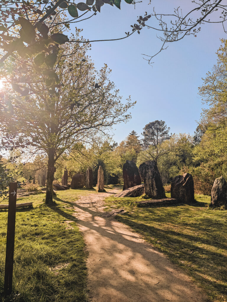 Les Menhirs de Monteneuf : un voyage au cœur de la Préhistoire