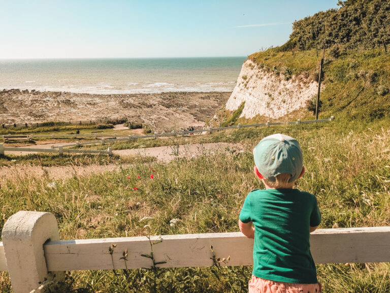 Le Bois de Cise : un joyau naturel de la Somme